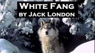 🐺 WHITE FANG by Jack London - FULL AudioBook 🎧📖 | Greatest🌟AudioBooks