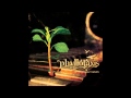 Phyllotaxis - Hearsay 