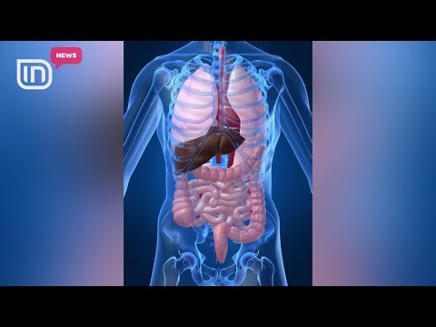 Mjeku anglez liston 7 organet, pa të cilat mund të jetojmë normalisht