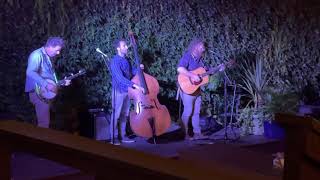 Thor Platter Band - Harvest Moon
