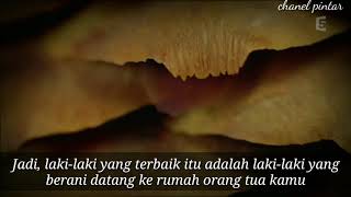 Download lagu LAKI-LAKI TERBAIK (ust.jefri al-bukhory) mp3