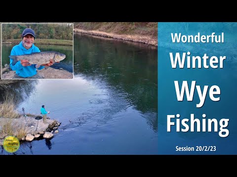 Wonderful Winter Wye Fishing - Big River Chub - Trotting The Stick Float - 20/2/23 (Video 386)