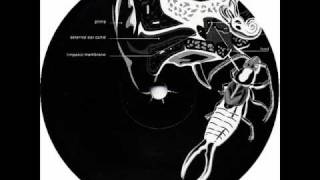 Mark Hawkins - Haw far shall we go (P~O 24)