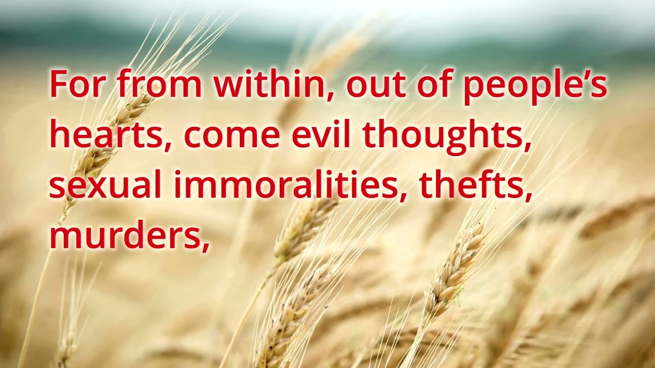 11-09-2025 In Consideration of My Heart Mark 4:1-9