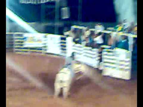 Maykon 5 6 seg  Tora saia