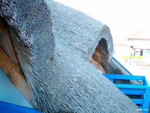 Dimineața, ora 8 , la Pensiunea Orizont din Mahmudia,4 Mai 2021