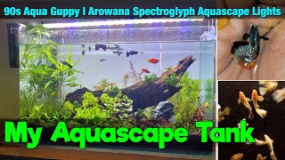 My Aquascape Tank I 90s Aqua Guppy I Arowana Spetroglyph