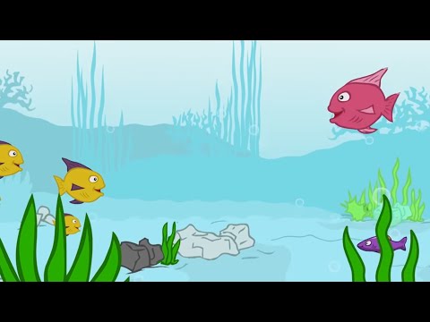 Pintainho Amarelinho - Todos Os Patinhos