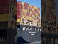Large MSC Container Ship