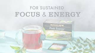 Bigelow Tea Peak Energy | Focus