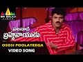 Palanati Brahmanaidu Video Songs Ososi Poolateega Video Song Bala Krishna Sri Balaji Video