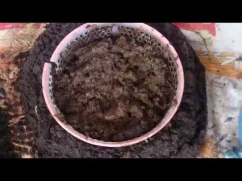 Vermicomposting - how to separate the worms!