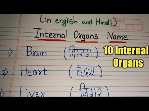 Internal organs/10 Internal Organs/ Ten Internal Organs Name/Internal Organs Name in english & hindi