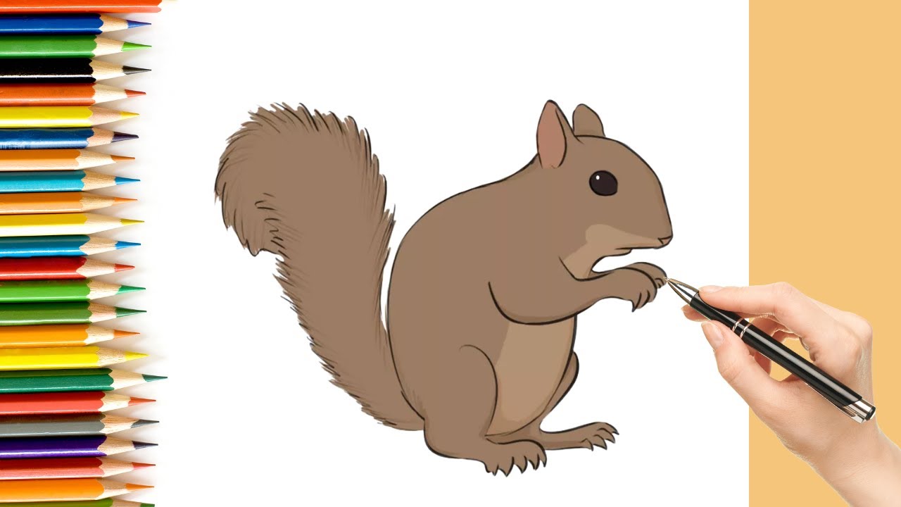 How to draw a squirrel