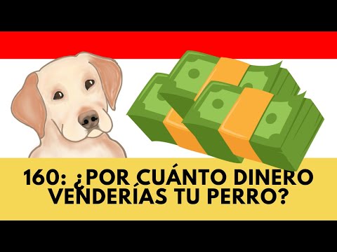 160: ¿Por cuánto dinero venderías tu perro?