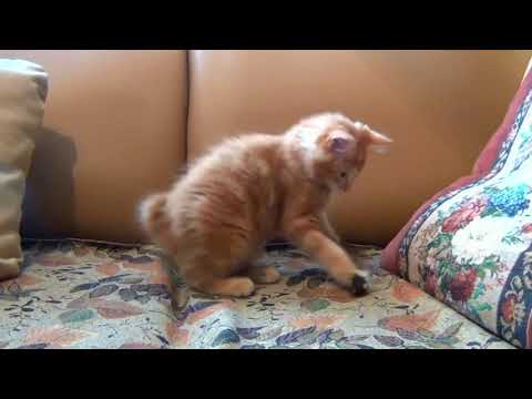 I really thought so | #But that was not #true..