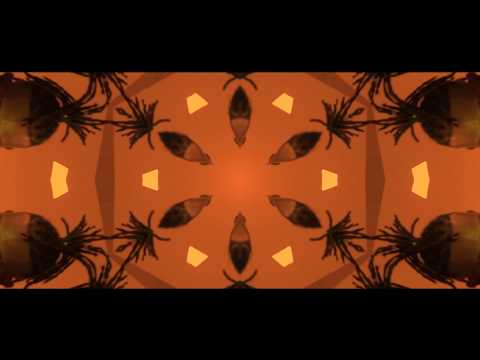 E.L.E.I.T.O.S - Blackout | Jé Santiago | Lekin | Beni | Choice (Prod. Nansy Silvvs)