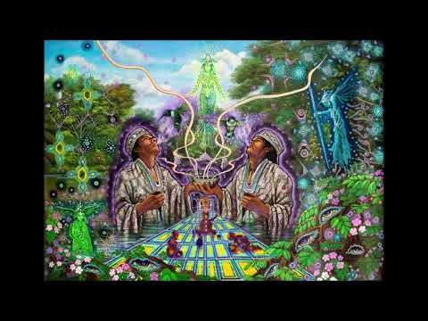 Terence Mckenna - True Hallucinations