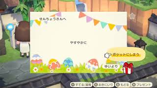 あつまれどうぶつの森　マイデザインで何か作る
