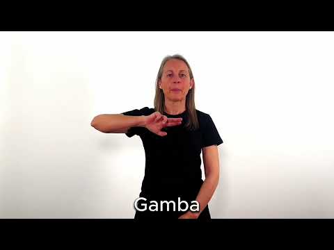 Gamba - LSC