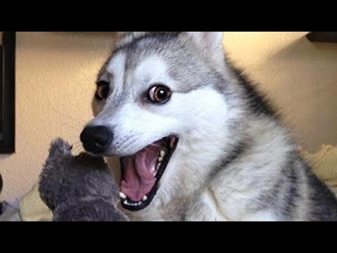 Ep 69 - Video Games and Sex 2.0