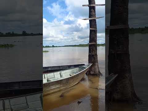 #princesinhadopantanal #Cáceres,MT