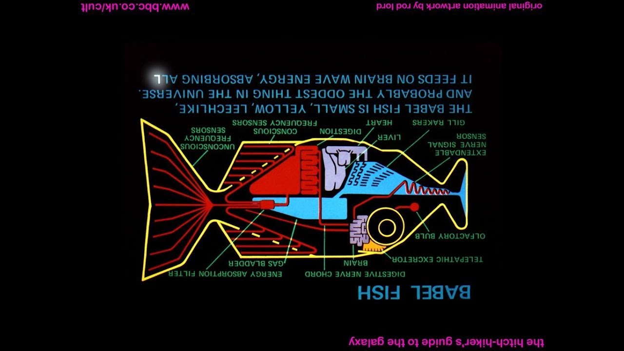 ENGLISH LANGUAGE 116 - How to translate with Babelfish