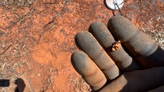 Struck Gold Again, Ora Banda Region…Western Australia
