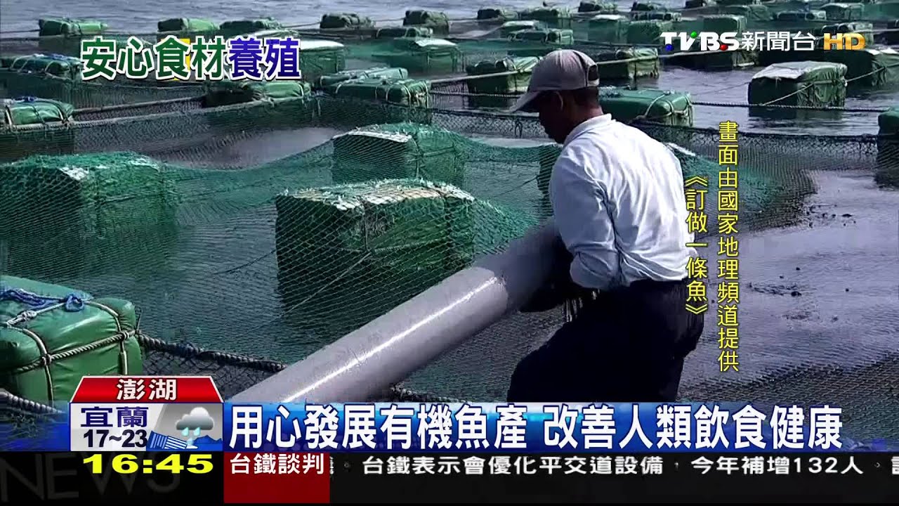 ​用心發展有機魚產　改善人類飲食健康