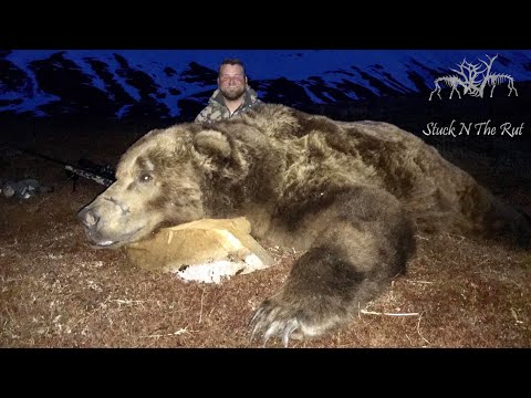 GIANT BROWN BEAR HUNT!!! - Stuck N the Rut 108