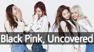 &#39;BLACKPINK&#39; (New YG Girl Group) Uncovered 블랙핑크 [ENG SUB]