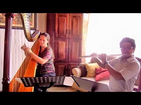Harp and flute. Erik Satie.  Gymnopédie #1