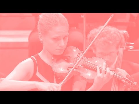 Henze: Il Vitalino Raddoppiato / Fischer · Fischer · Konzerthausorchester Berlin