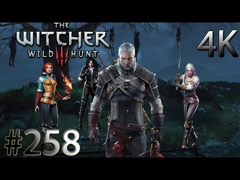 THE WITCHER 3 : WILD HUNT [DSR] -#258- Vorbereitungen | Let's Play The Witcher 3 : Wild Hunt