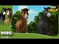Doru Alaca 1 Bölüm