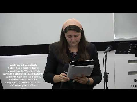 Prăbușit în rugă - Miriam Sarah  Niculcea