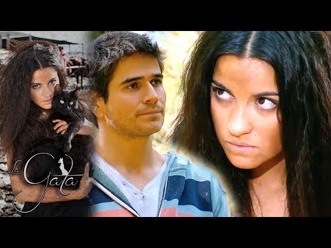 The Cat - Chapter 3: Pablo denies Esmeralda! | Tlnovelas