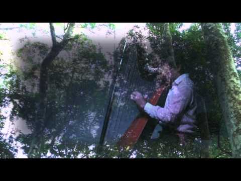 Piririta en armonia con el arpa paraguaya