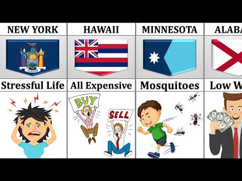 Why Americans HATE Their Own State 😡