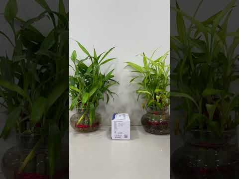 Cabergoline 0.5mg Tablet (Cabonik)