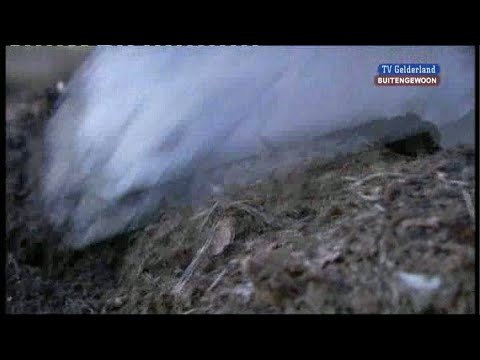 BuitenGewoon 13 mei 2010