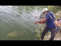 Beautiful river scape |catching big rohu fishes with single hook|awesome fishing video