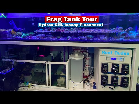 Saltwater Aquarium Frag Tank Tour - Hydros Control4, GHL Profilux 4 Icecap Kalk stirrer, fluconazole