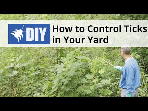  How to Control Ticks in the Yard Video 