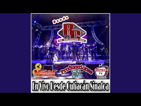 Popurrí Sinaloense Mi Gusto es el Sauce y la Palma el Sinaloense (En Vivo)