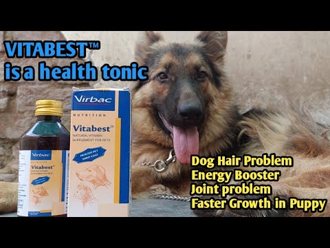 VITABEST SYRUP VETERNARY
