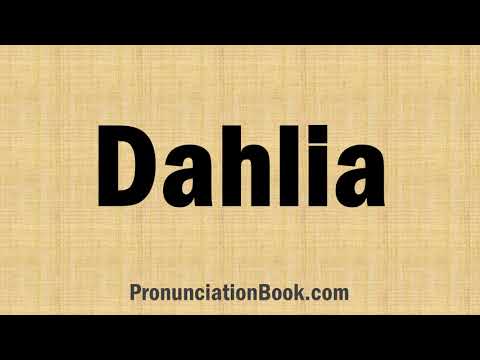 How to Pronounce Dahlia