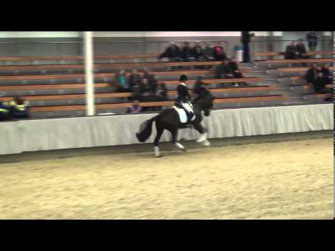 MOSES (Millennium x Donnerschlag - Weltmeyer) & Jessica Andersson