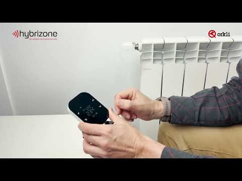 Hybrizone Master Module