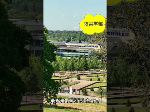 スウェーデン留学はいかが？ パート2 #shorts